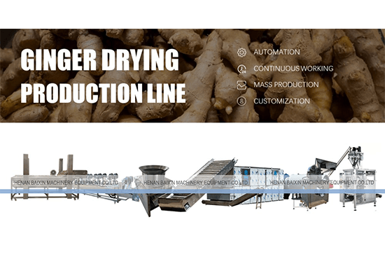 ginger drying production line